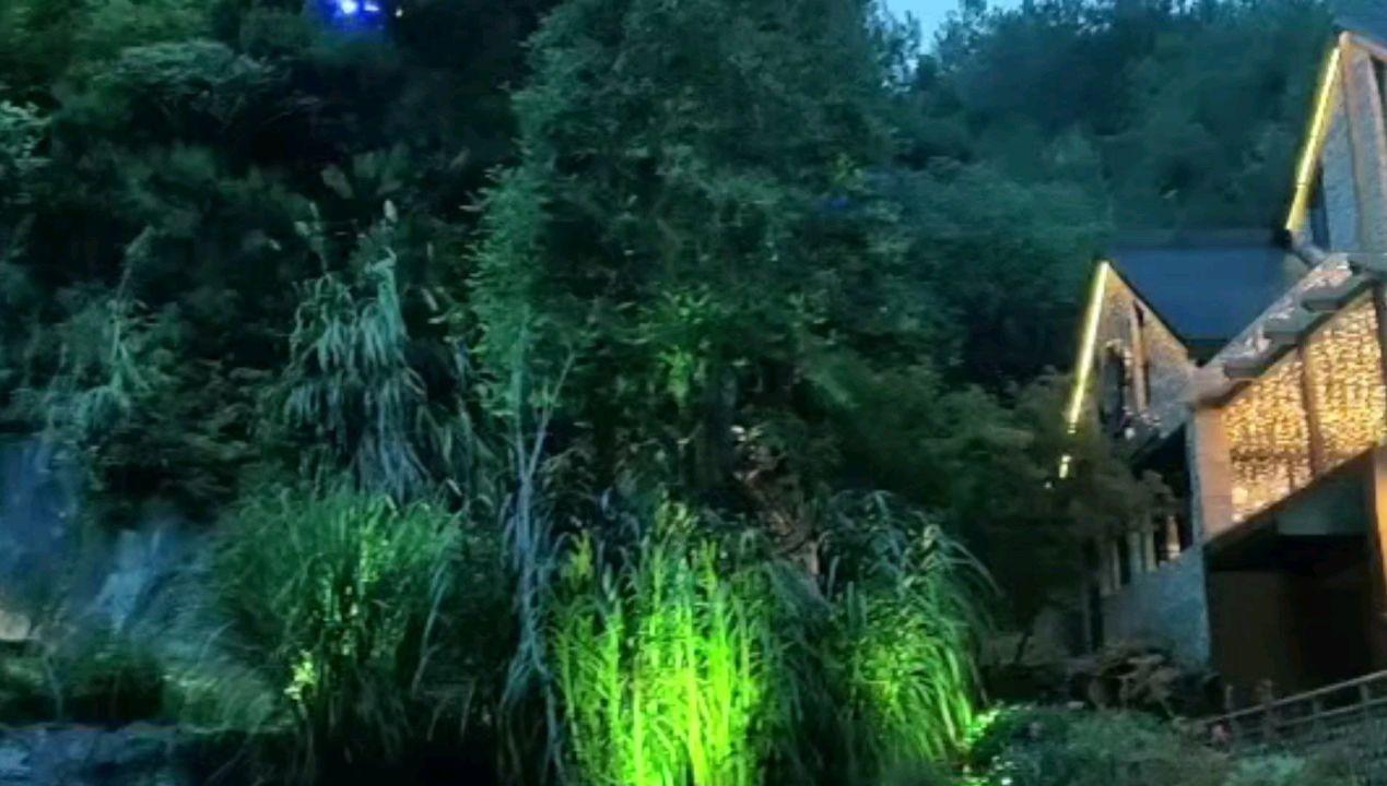 海外扩张加速，SHEIN创新模式改写全球时尚产业格局